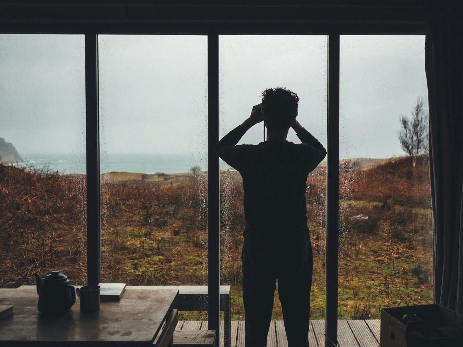 Silhouette d'un homme debout devant une baie vitrée, face au paysage