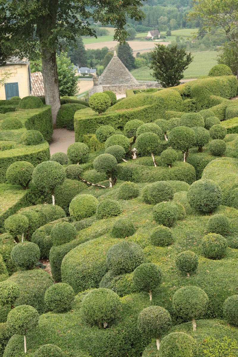 a garden with bushes and trees with Glendurgan Garden in the background
